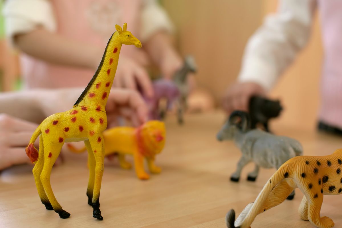 Play materials used in a CBPT session for separation anxiety